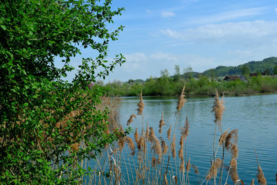 Scenic view of lake against sky