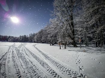 Snow covered road amidst trees against sky