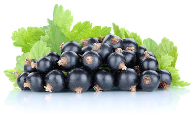 Close-up of blueberries against white background