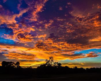 Silhouette trees against dramatic sky during sunset