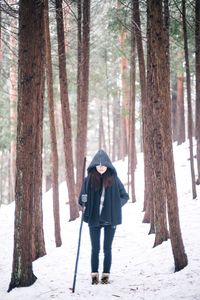 Rear view of people walking in forest