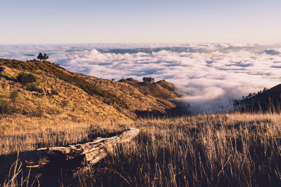 Scenic view of land against sky during sunset - madeira island 