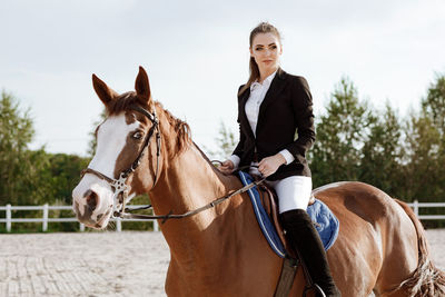 Portrait of horse standing against sky