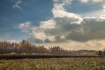 Scenic view of field against sky