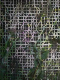Full frame shot of wall