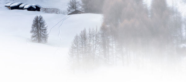 Scenic view of snow covered land