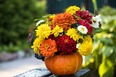 Close-up of orange flower pot on plant