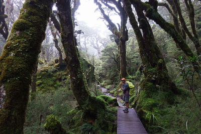 Man standing amidst trees in forest