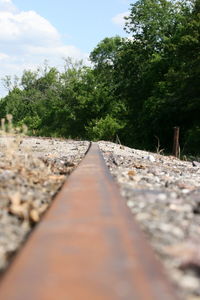 Railroad track amidst trees against sky