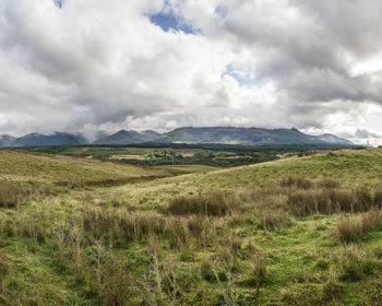 Scenic view of field against sky