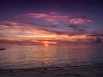 Scenic view of sea during sunset