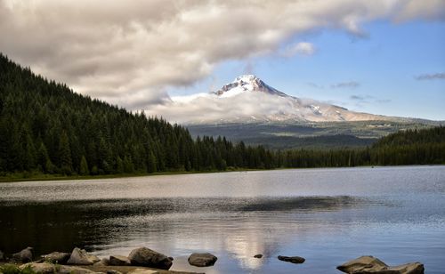 Scenic view of trillium lake by forest against mt hood covered