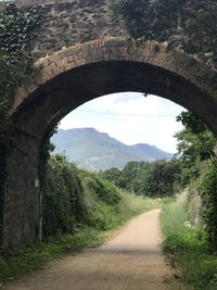Road amidst trees seen through arch bridge