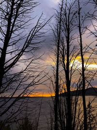 Silhouette bare trees against sky during sunset