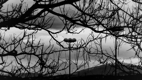 Low angle view of bare tree against sky