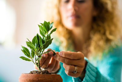 Midsection of woman holding plant