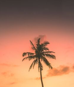 Low angle view of silhouette palm tree against romantic sky