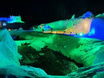 Fish swimming in sea