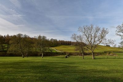 Trees on field against sky