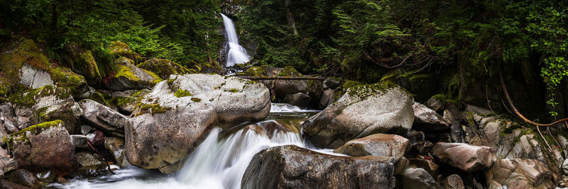 View of waterfall in forest