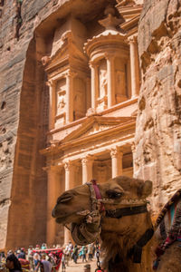 Low angle view of a historical building