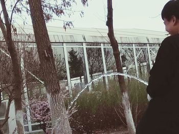 Man hand by trees against sky