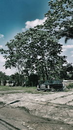 Empty road along trees