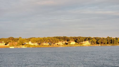 shore