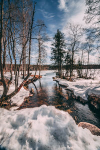 Bare trees on snow covered land against sky