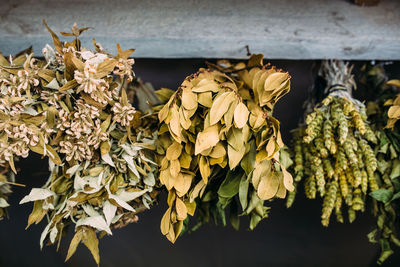 Bunches of dry medicinal plants. bay leaves, lemongrass are dried