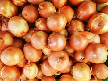 Full frame shot of pumpkins in market