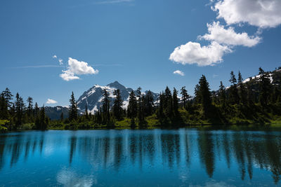 Scenic view of lake by trees against sky