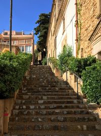 Steps amidst trees against sky