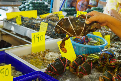 Woman eating food at market stall