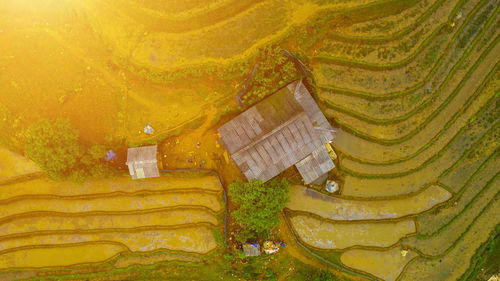 High angle view of trees on landscape