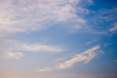 Low angle view of bird flying in sky