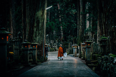 Rear view of man walking on road amidst trees