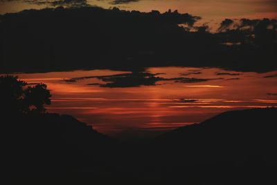 Silhouette of trees against dramatic sky