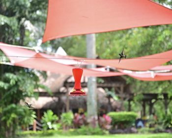 Close-up of red bell hanging from roof against trees