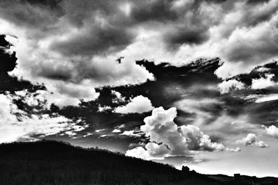 Low angle view of silhouette birds flying against sky