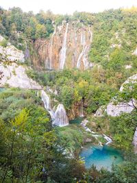 Scenic view of waterfall in forest