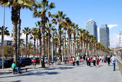 People in city against clear sky