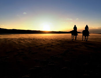 Silhouette of horse on field