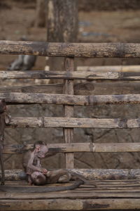 Close-up of wooden fence