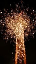 Low angle view of firework display