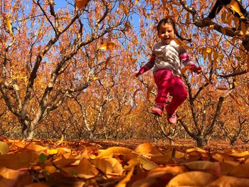 Low angle view of girl standing on tree