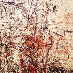 Full frame shot of tree trunk