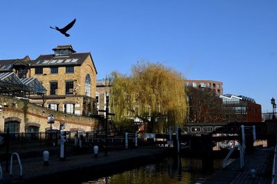 Birds flying over canal against buildings