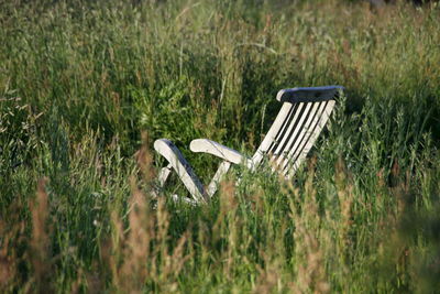 Empty chair on grassy field