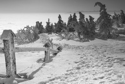 People walking on snow covered landscape